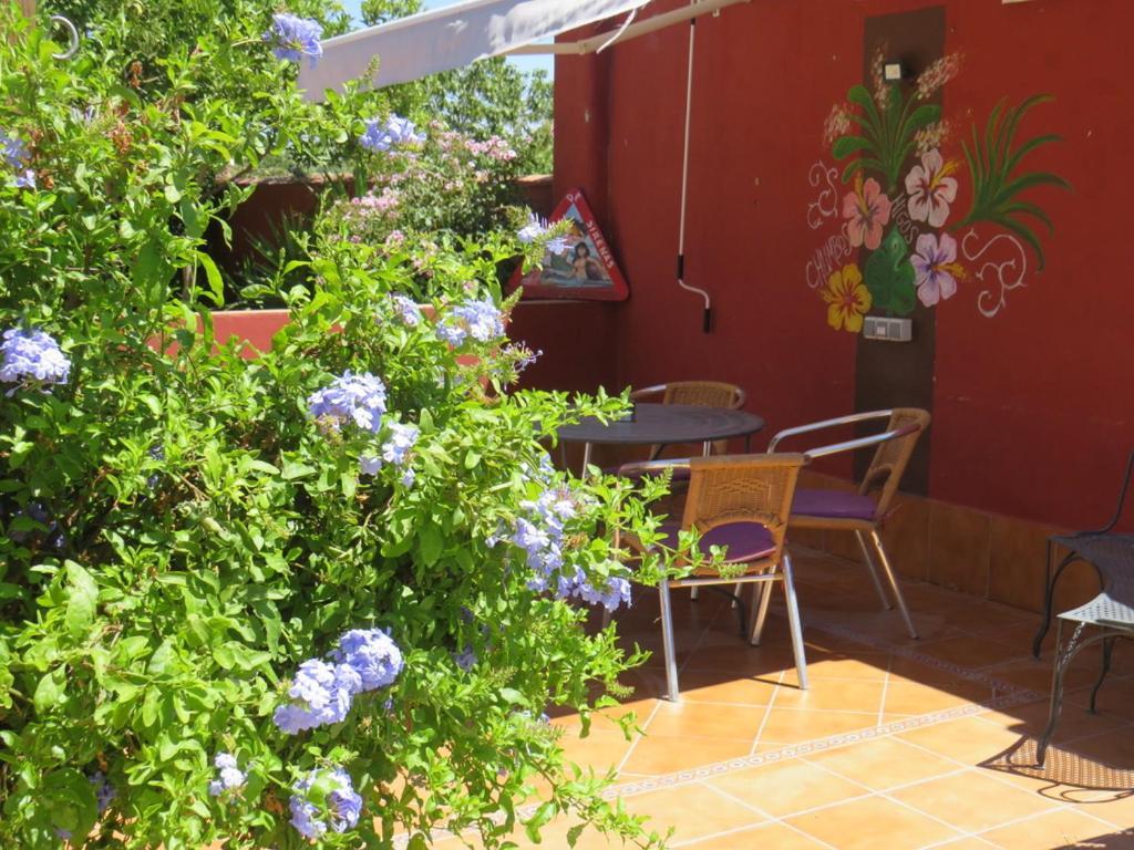 Higos Chumbos, Casa Rural Compartido Chiclana de la Frontera Bagian luar foto